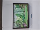 創造展