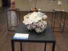 創造展
